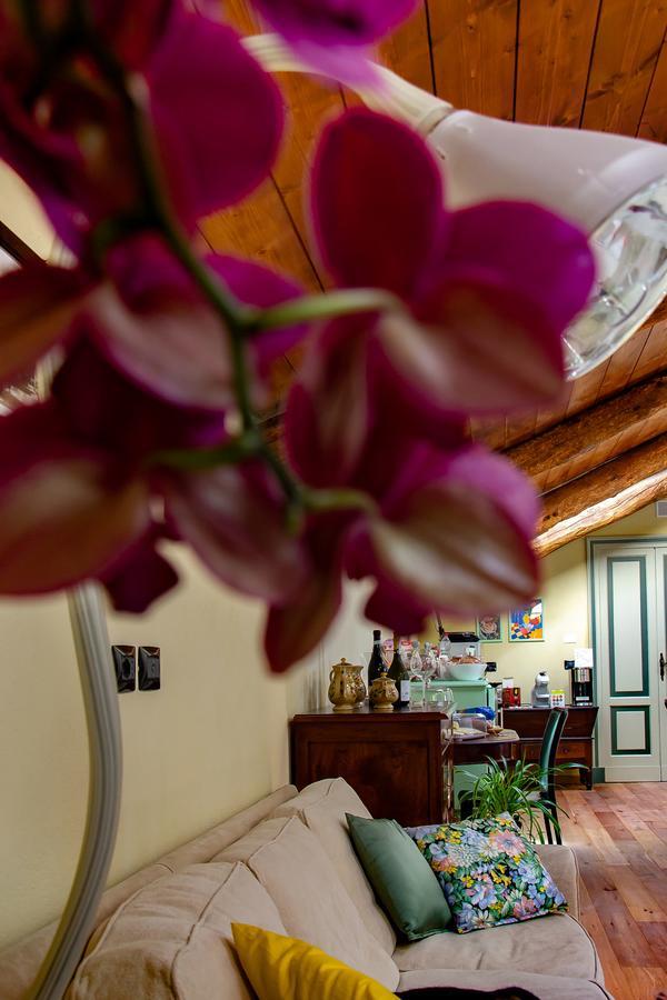 Ca D'I. Bed & Breakfast Magliano Alfieri Luaran gambar