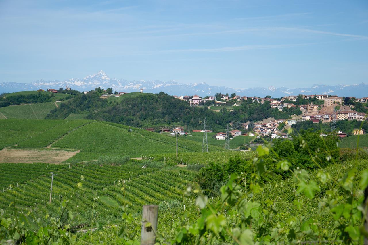 Ca D'I. Bed & Breakfast Magliano Alfieri Luaran gambar